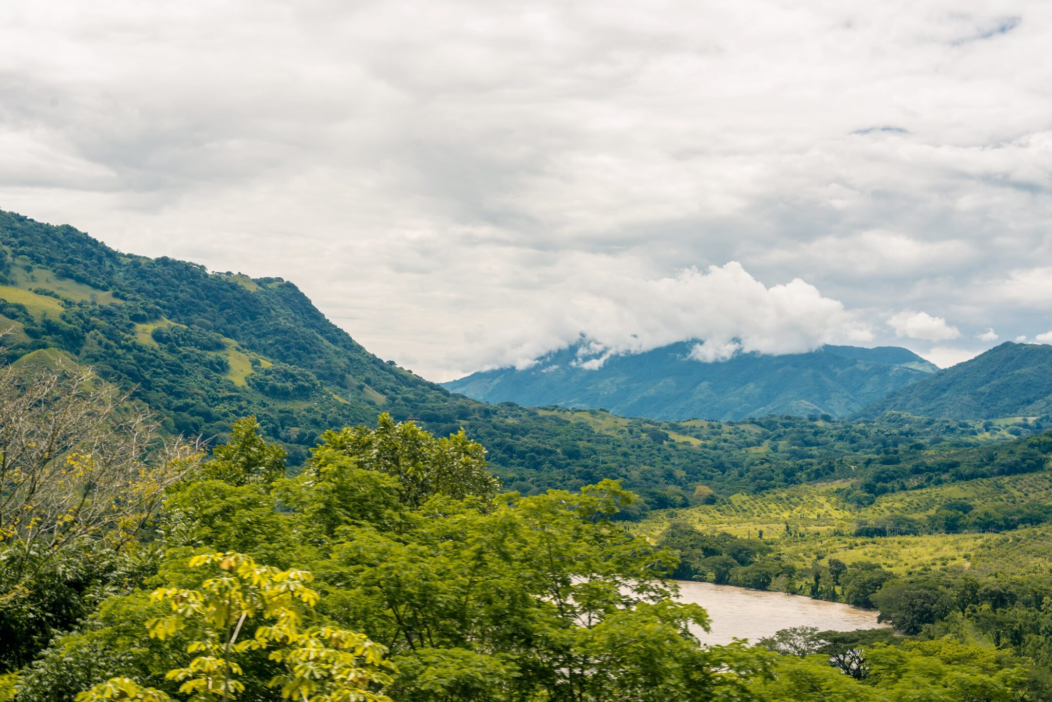 colombia landscape