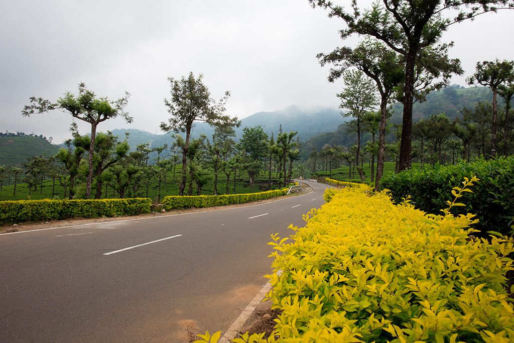 INDIA_VALPARAI