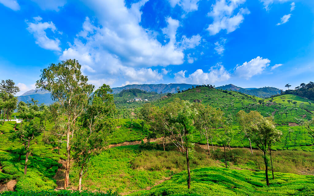 INDIA_VALPARAI_ROAD